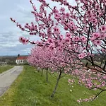 Winzerlodge, Hatzelberg