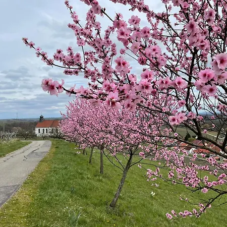Winzerlodge, Hatzelberg