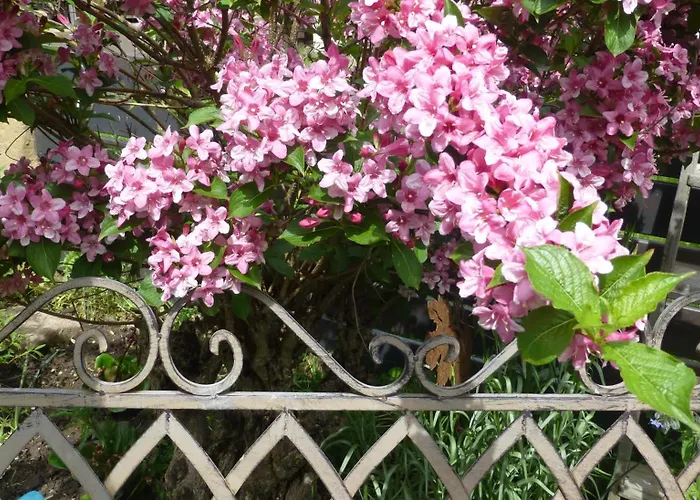 Winzerlodge, Hatzelberg * Gleiszellen-Gleishorbach