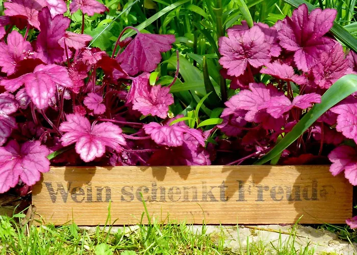 Winzerlodge, Hatzelberg Apartamento Gleiszellen-Gleishorbach