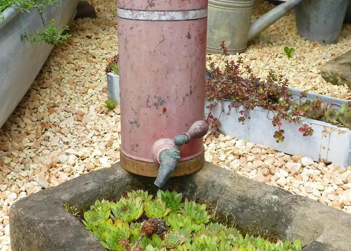 Winzerlodge, Hatzelberg * Gleiszellen-Gleishorbach