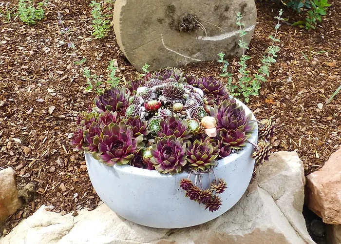 Winzerlodge, Hatzelberg *