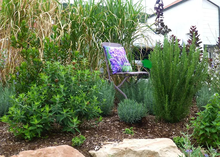 Winzerlodge, Hatzelberg Gleiszellen-Gleishorbach