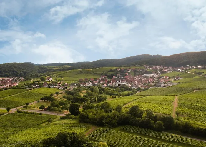 Winzerlodge, Hatzelberg * Gleiszellen-Gleishorbach