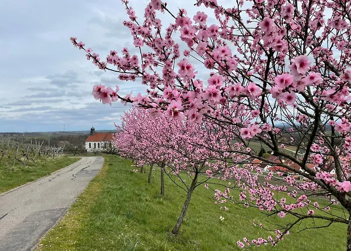 Winzerlodge, Hatzelberg